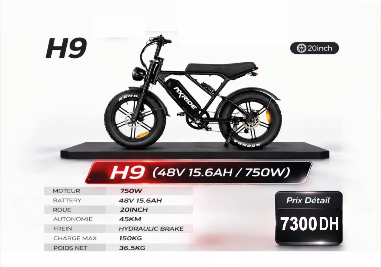 WhatsApp Image 2026 03 09 at 03.15.45